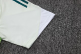 25-26 Al-Ahli Saudi Light green Training Short Suit #D25265