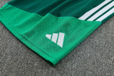 26-27 Algeria Green Tank top and shorts suit