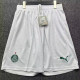 26-27 Palmeiras Home Shorts Pants