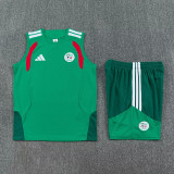 26-27 Algeria Green Tank top and shorts suit