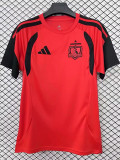 26-27 Colo-Colo Red Training shirts (圆领)