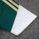 26-27 Italy Green Player Version Training Short Suit (球员短套装)#D2603