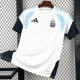 26-27 Argentina White Training shirts