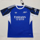 25-26 ARS Blue Special Edition Fans Training Shirts