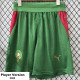 26-27 Morocco Green Player Version Shorts Pants(球员短裤)