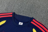 26-27 Colombia Royal blue Training Short Suit