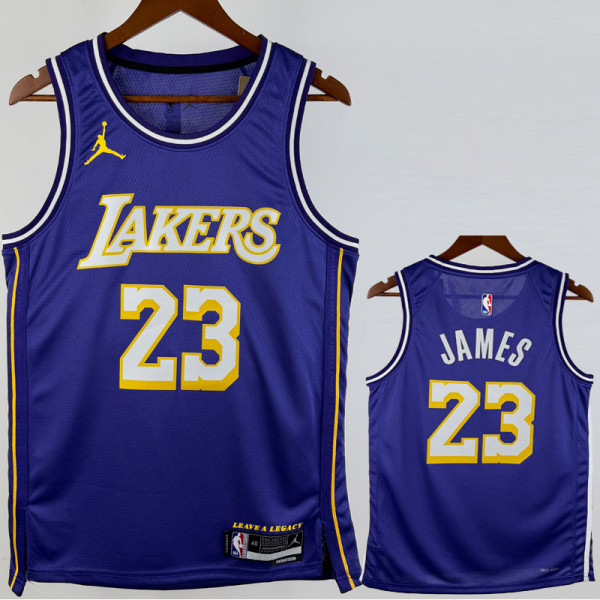 25-26 Lakers JAMES #23 Purple Top Quality Hot Pressing NBA Jersey (Trapeze Edition) 飞人版