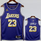 25-26 Lakers JAMES #23 Purple Top Quality Hot Pressing NBA Jersey (Trapeze Edition) 飞人版