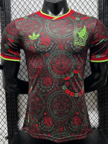 26-27 Mexico Brown Special Edition Player Version Training shirts