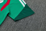 26-27 Algeria Green Training Short Suit