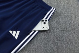 2026 AD Lake blue Jacket Tracksuit #2321