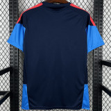 26-27 Colombia Royal blue Training shirts