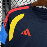 26-27 Colombia Royal blue Training shirts