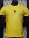 26-27 Colombia Yellow Special Edition Player Version Training shirts (逗号)