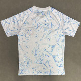 26-27 Argentina White Special Edition Fans Training shirts