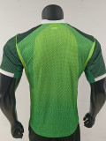 26-27 Nigeria Home Player Version Soccer Jersey