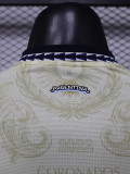 26-27 Argentina Beige Player Version Training shirts
