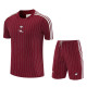 25-26 ARS Brown Red Training Short Suit