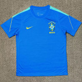 26-27 Brazil Blue Training shirts