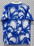 26-27 Cape Verde Blue Pre-Match Training shirts