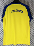 26-27 Colombia Yellow Training shirts