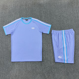 2025 AD11 Purple blue Training Short Suit