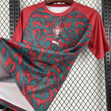 26-27 Portugal Red Fans Training shirts