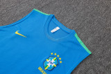 26-27 Brazil Lake blue Tank top and shorts suit #D26030