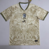 26-27 Brazil Khaki Special Edition Fans Soccer Jersey (小鹦鹉标 )