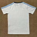 26-27 Argentina White Casual Edition Fans Training shirts