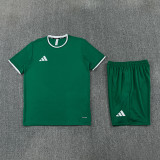 2026 AD13 Green Training Short Suit