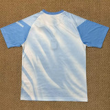26-27 Argentina Blue White Training shirts