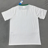 26-27 Brazil White Casual Edition Fans Training shirts