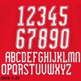 26-27 Switzerland Home Player Version Soccer Jersey