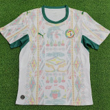 26-27 Senegal Home Player Version Soccer Jersey