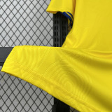26-27 Sweden Home Fans Soccer Jersey