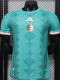 26-27 Algeria Green Special Edition Player Version Training shirts