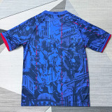 26-27 France Blue Special Edition Training shirts (逗号)