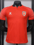26-27 Jordan Away Player Version Soccer Jersey