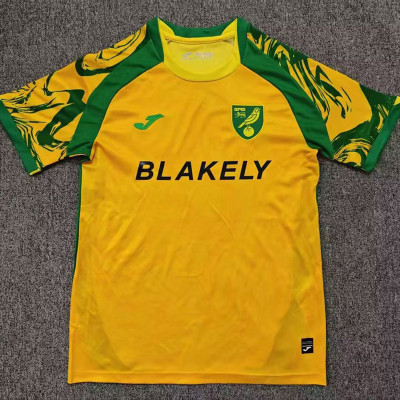 26-27 Norwich City Home Fans