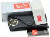 Erika RB4171 Sunglasses Havana 710/T5 Brown 54mm