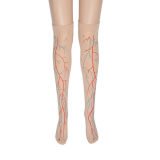 Halloween Womens Over The Knee High Fancy Long Stocking Nurse Sailor Cross Socks