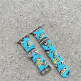 NIKE SB Apple watch strap