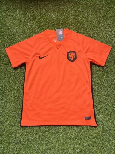2022 Qatar World Cup Netherlands National Team Jersey custom name + number