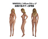WM Doll ラブドール ボディのみ専用販売ページ headヘッド無し TPE製