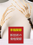 XYDOLLラブドール 158cm Cカップ #O頭部 身長など選べる 高級シリコン頭部+TPE材質ボディ