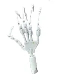 Cosdoll 等身大ラブドール 148cm Eカップ #6ヘッド【ヘッド材質及び身長等選択可能 カスタマイズ可能】リアルドール