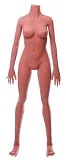 Cosdoll #8 ラブドール 148cm Dカップ tpe製