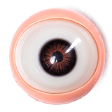 Starpery 二つ目ヘッドなど無料 キャンペーン 10月31日まで 高級 シリコン製 ラブドール 美人 sexdoll