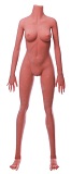 Cosdoll 163cm 巨乳 #7ヘッド 等身大リアルラブドール【TPEヘッド&軟性・硬性シリコンヘッド、身長等選択可能 カスタマイズ可能】エロ人形